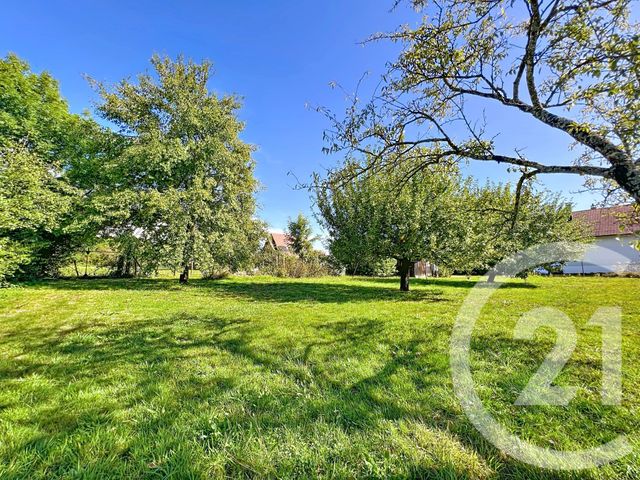 maison à vendre - 6 pièces - 116.0 m2 - MONTBELIARD - 25 - FRANCHE-COMTE - Century 21 Agence De La Gare