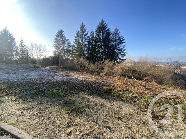 terrain - SELONCOURT - 25