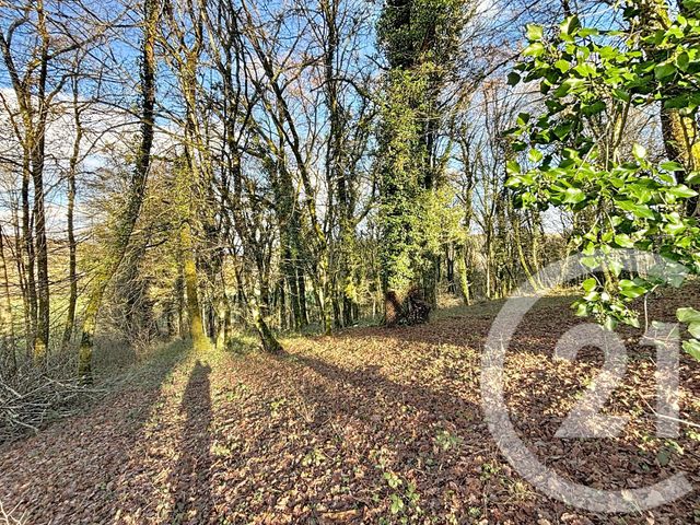 maison à vendre - 6 pièces - 102.0 m2 - MONTENOIS - 25 - FRANCHE-COMTE - Century 21 Agence De La Gare