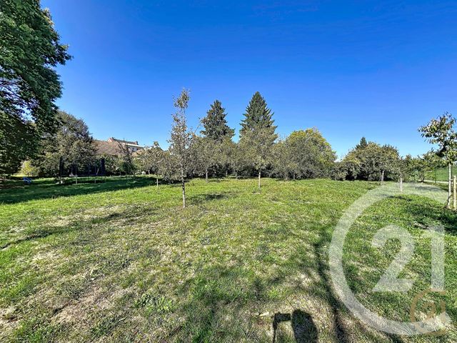immeuble à vendre - 250.0 m2 - BART - 25 - FRANCHE-COMTE - Century 21 Agence De La Gare